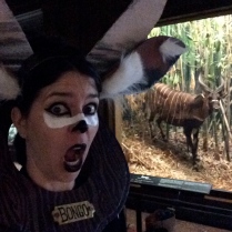 Gasp, another Bongo creeping on Halloween night at the museum!!